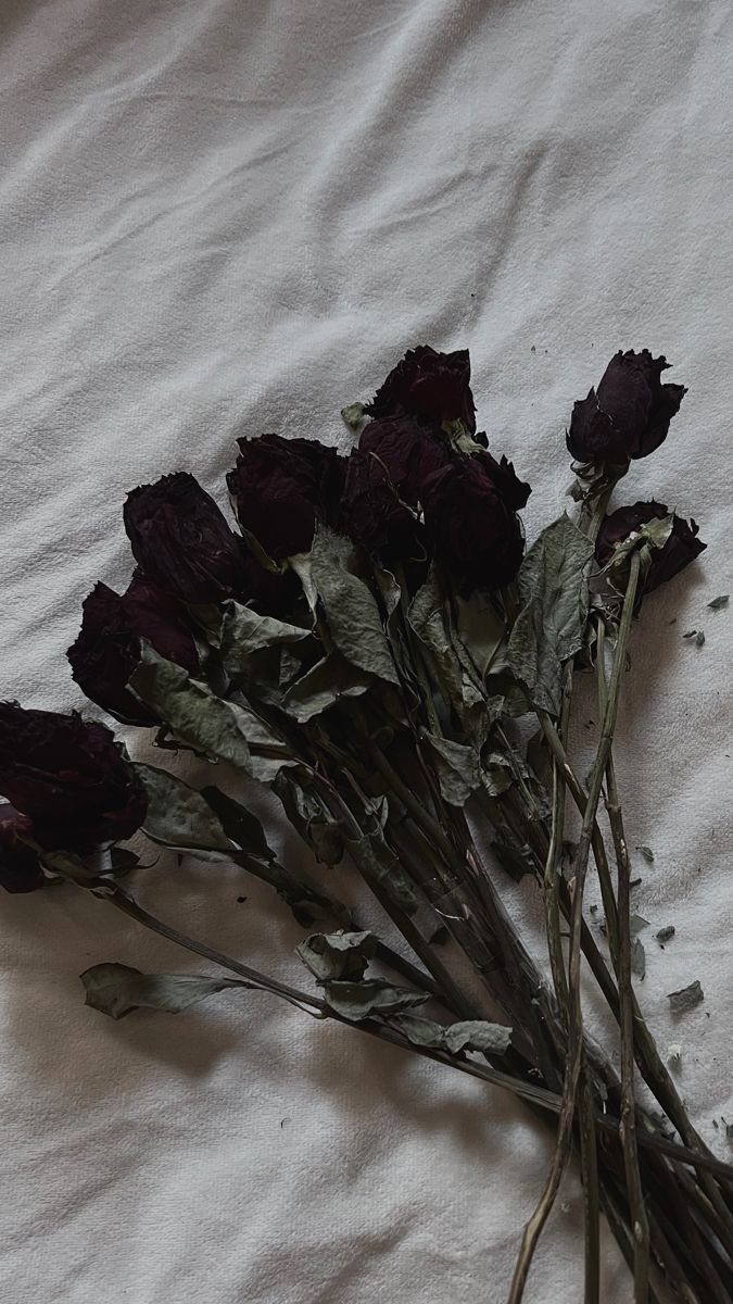 Dried dark burgundy roses with withered leaves lying on a white wrinkled fabric background.