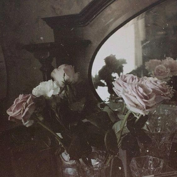 Pale pink roses in a vase positioned in front of a dark vintage mirror.