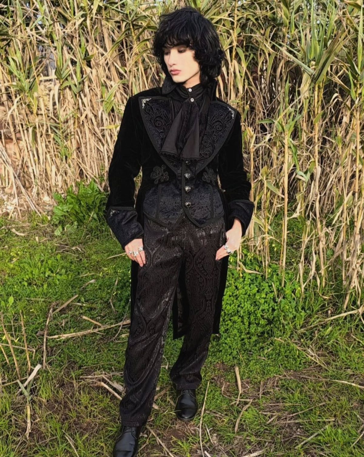 A person wearing an ornate black velvet frock coat and patterned trousers standing in tall grass.